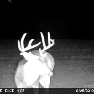 Photo #28 of Hasty, Marshville, NC