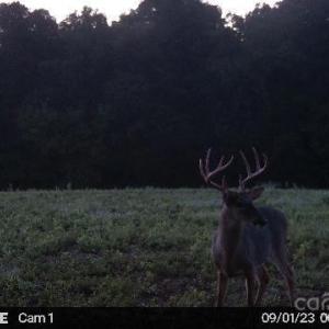 Photo #29 of Hasty, Marshville, NC