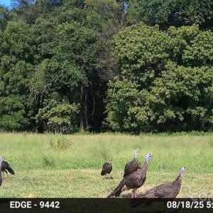 Photo #23 of Hasty, Marshville, NC