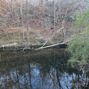 Photo #18 of Hasty, Marshville, NC