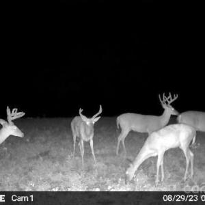 Photo #26 of Hasty, Marshville, NC