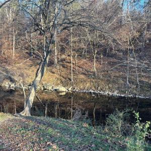 Photo #17 of Hasty, Marshville, NC