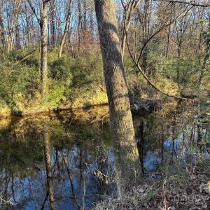 Photo #19 of Hasty, Marshville, NC