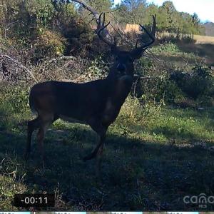 Photo #22 of Hasty, Marshville, NC