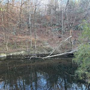 Photo #16 of Hasty, Marshville, NC