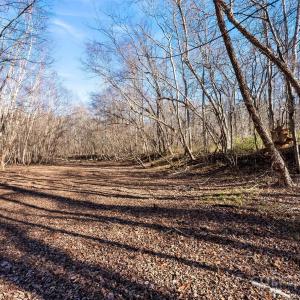 Photo #3 of 9999 Oakridge, Lake Wylie, SC