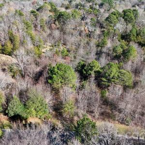 Photo #8 of 550 Penny, Concord, NC