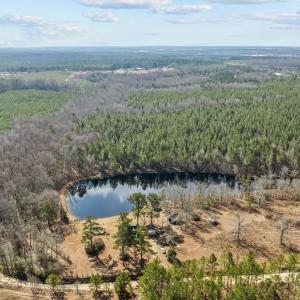 Photo #6 of 843 Triple Creek, Mount Croghan, SC