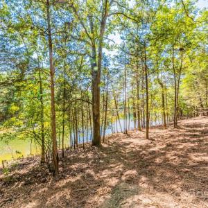 Photo #3 of 4393 Concord, York, SC