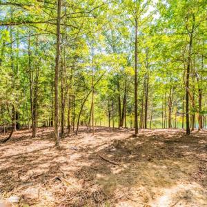 Photo #4 of 4393 Concord, York, SC