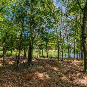 Photo #3 of Concord, York, SC