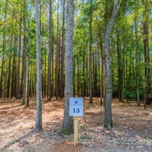 Photo #2 of Sandlapper, York, SC