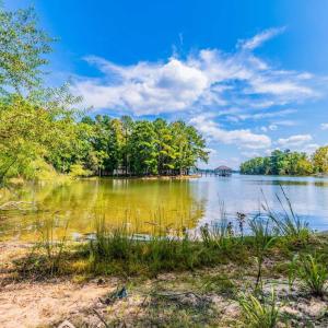 Photo #4 of Sandlapper, York, SC