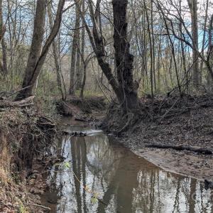 Photo #37 of #5 Farrow, Rock Hill, SC