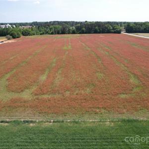 Photo #2 of 2 Rogers, Bennettsville, SC