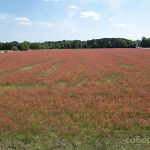 Photo #1 of 2 Rogers, Bennettsville, SC