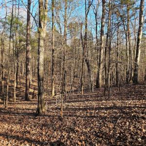 Photo #2 of 7000 John Furr, Concord, NC