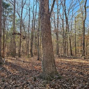 Photo #15 of 7000 John Furr, Concord, NC