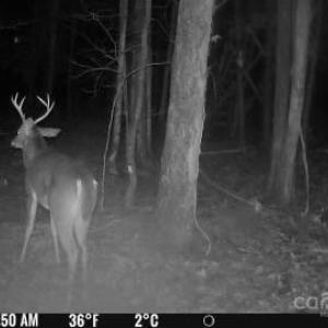 Photo #23 of 7000 John Furr, Concord, NC