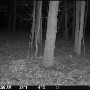 Photo #25 of 7000 John Furr, Concord, NC