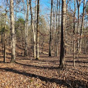 Photo #12 of 7000 John Furr, Concord, NC