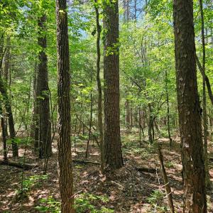 Photo #19 of 7000 John Furr, Concord, NC