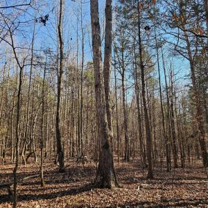 Photo #14 of 7000 John Furr, Concord, NC