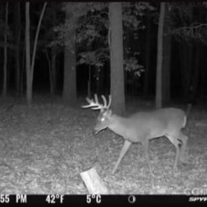 Photo #21 of 7000 John Furr, Concord, NC