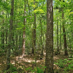 Photo #20 of 7000 John Furr, Concord, NC