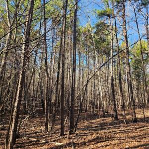 Photo #10 of 7000 John Furr, Concord, NC