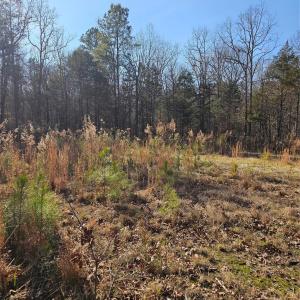 Photo #17 of 7000 John Furr, Concord, NC