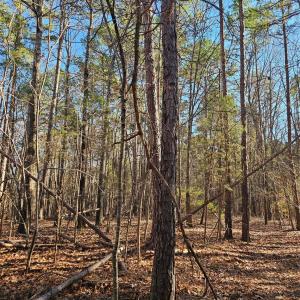 Photo #9 of 7000 John Furr, Concord, NC