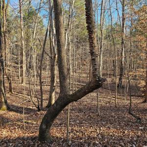 Photo #1 of 7000 John Furr, Concord, NC