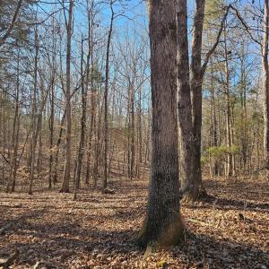 Photo #13 of 7000 John Furr, Concord, NC