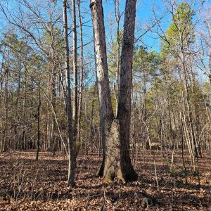 Photo #11 of 7000 John Furr, Concord, NC