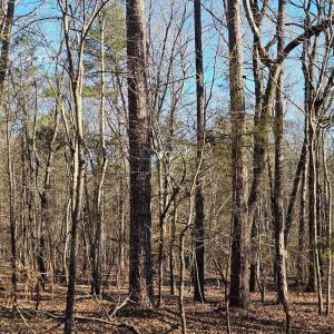 Photo #7 of 7000 John Furr, Concord, NC