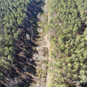 Photo #3 of 14B Dutchman Creek, Ridgeway, SC