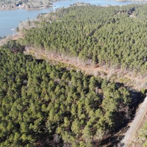 Photo #7 of 14B Dutchman Creek, Ridgeway, SC