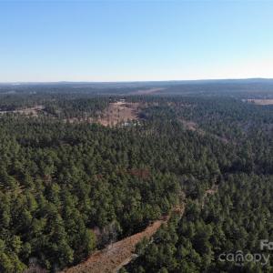 Photo #13 of 14B Dutchman Creek, Ridgeway, SC