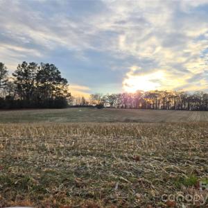 Photo #2 of Newt, Albemarle, NC