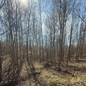 Photo #8 of LOT D 10+/-AC Ramah Church, York, SC