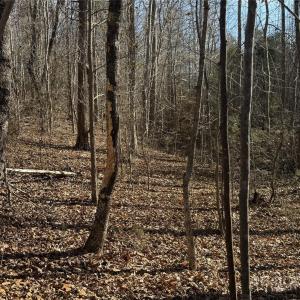 Photo #20 of 10+/-AC Ramah Church, York, SC