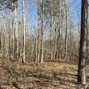 Photo #16 of 10+/-AC Ramah Church, York, SC