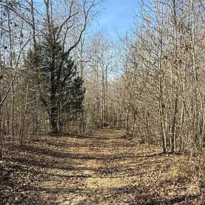 Photo #22 of 10+/-AC Ramah Church, York, SC