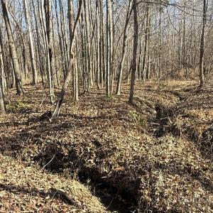 Photo #14 of 10+/-AC Ramah Church, York, SC