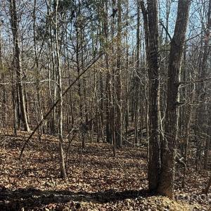 Photo #13 of 10+/-AC Ramah Church, York, SC