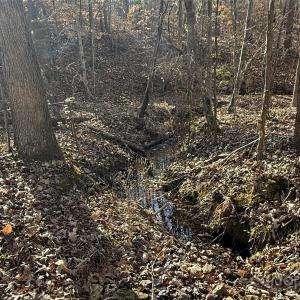 Photo #15 of 10+/-AC Ramah Church, York, SC