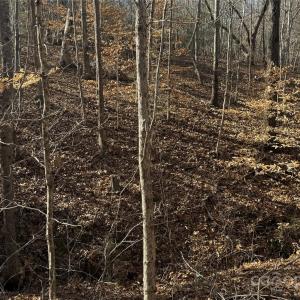 Photo #19 of 10+/-AC Ramah Church, York, SC