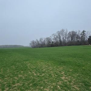 Photo #3 of Philadelphia Church, Marshville, NC