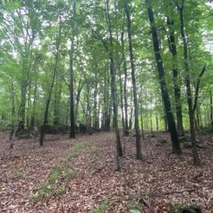 Photo #29 of 5410 A R Gordon, Waxhaw, NC